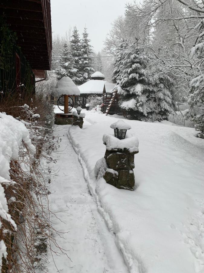 Gosciniec Pod Smrekami Bed and Breakfast Czorsztyn Εξωτερικό φωτογραφία